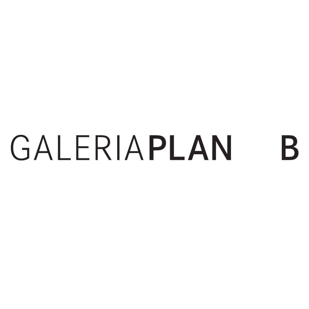 Plan B Gallery logo