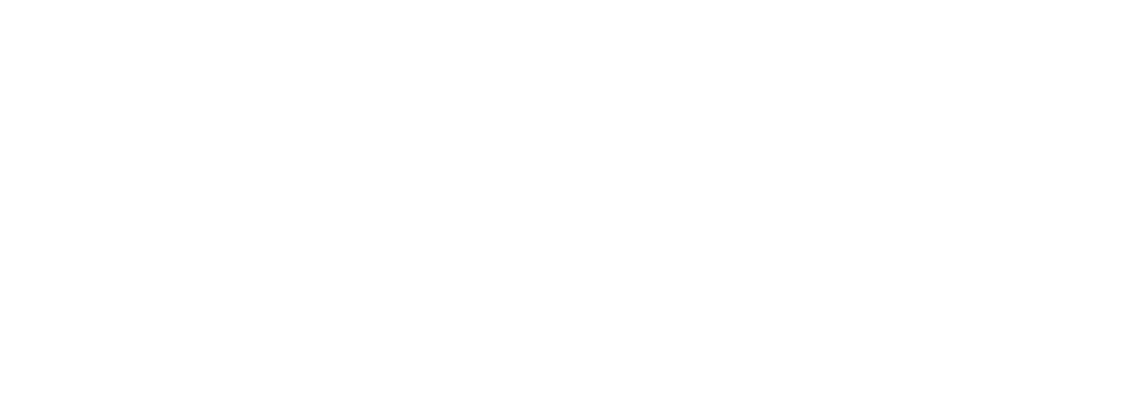 Nico and the Navigators logo