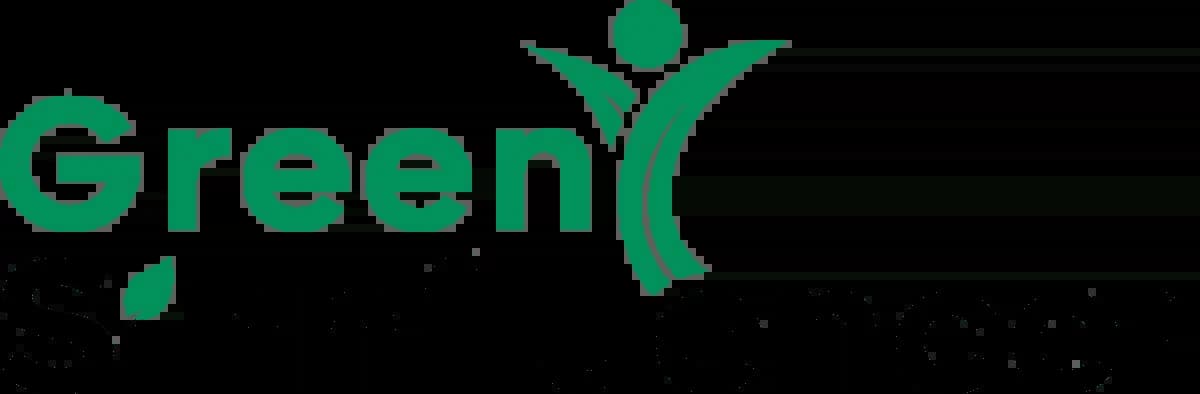 Green Sinnfluencer logo