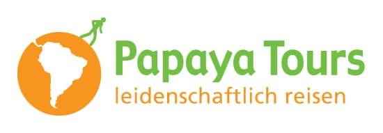 Papaya Tours + logo