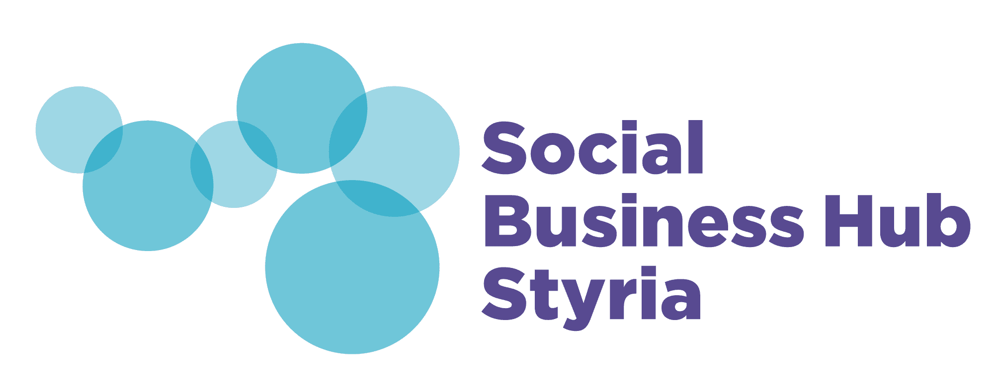 Social Business Hub Styria logo
